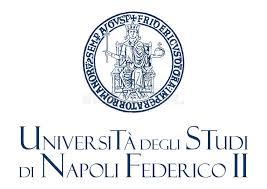  ◳ University of Naples Federico II (jpeg) → (šířka 215px)